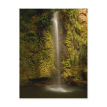 Saint Lucia waterfall Post Card