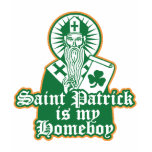 Saint Patrick is my Homeboy