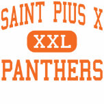 Saint Pius X - Panthers - High - Houston Texas t-shirts