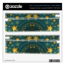 Saint-Rémy Revisited Orbit M Speaker Skin