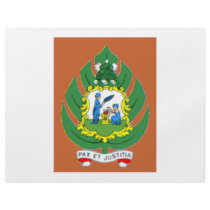 Saint Vincent and the Grenadines Coat of Arms Full Color Flyer