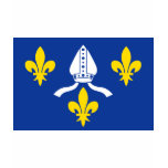 Saintonge, France flag T-shirts