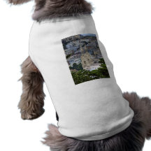Saints Peter and Paul Church In San Francisco Pet T Shirt