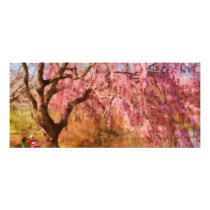 Sakura - A Beautiful Spring day Rack Cards