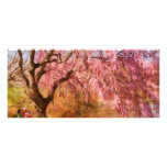 Sakura - A Beautiful Spring day Rack Cards