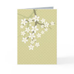 greeting, card, sakura, cherry, invitation, spa,