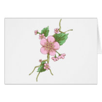 Sakura Blossoms Cards