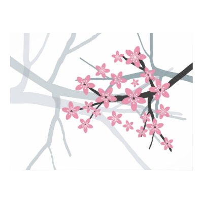 cherry tree branches. Cherry Tree) Branch