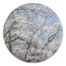 sakura copy, Cherry Blossoms, Japan stickers