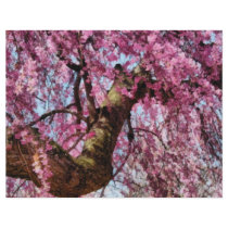 Sakura - Finally it's Spring Custom Flyer