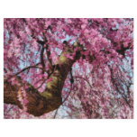 Sakura - Finally it's Spring Letterhead Design
