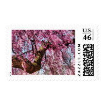 Sakura - Finally it's Spring Stamp