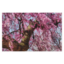 Sakura - Finally it's Spring Custom Stationery