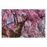 Sakura - Finally it's Spring Custom Stationery