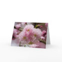 Sakura • Happy Mother's Day Card by SabineStGreetings Sakura • Happy Mother's Day Card