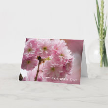 Sakura - Happy Mother's Day Card - Photography & Design by Sabine Steinmueller.