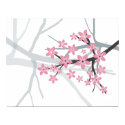 Sakura - Japanese Cherry Tree Blossom Print