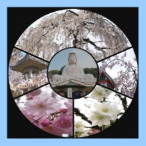 Sakura Meditation_ by Adela Stefanov posters