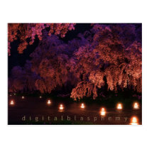 japenese, sakura, cherry, blossom, lanterns, Postcard with custom graphic design