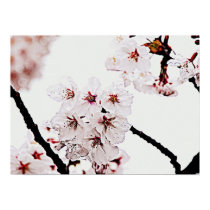 SAKURA PHOTOGRAPHY posters