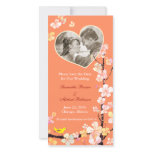 Photo Cards