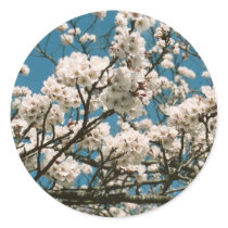 sakura stickers by jenniekurono sakura stickers