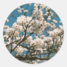 sakura sticker