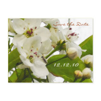 Sakura Wedding - Save the Date Card Post Cards