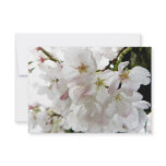 Sakura White Personalized Invitations