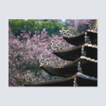 Sakura XXII postcards