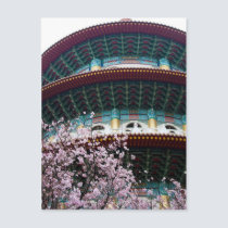 Sakura XXXV postcards