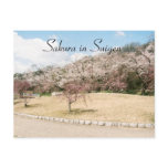 sakurasuigen, Sakura in Suigen Post Card
