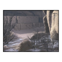 Salado Ruins posters