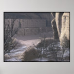 Salado Ruins posters