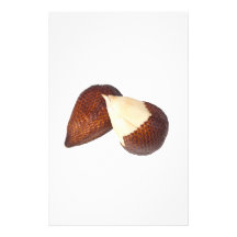 Salak fruit stationery design