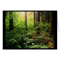 Salal Trail 1 cards