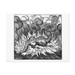 salamander fire post cards