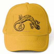 salamander hats