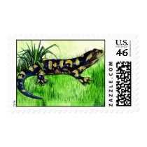 Salamander Lover Postage postage by naturetees Salamander Lover Postage postage