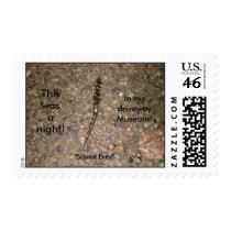 Salamander postage by creativeme Salamander postage
