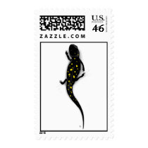 Salamander postage by samluke2 Salamander postage