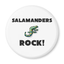 Salamanders Rock magnets