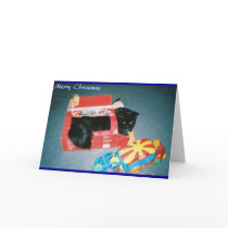 Salem cards