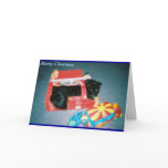 Salem cards