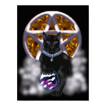 salem cat (color) posters by wolffreeborn salem cat (color) posters