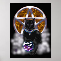 salem cat (color) poster
