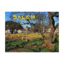 Salem (MA) Postcard by RickDouglas Salem (MA) Postcard