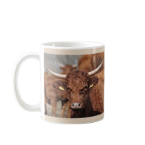 Salers cow mug