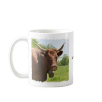 Salers cow mug