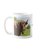 Salers cow mug